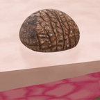 Stielwarzen-Entferner